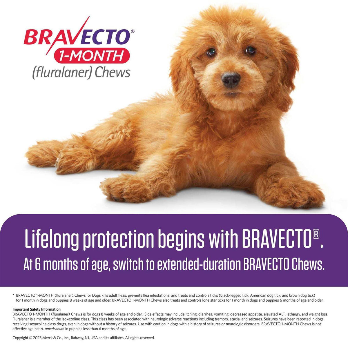 1-Month Chews for Dogs Y776611