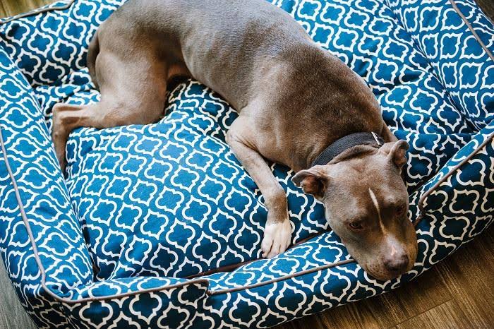 Moroccan Lounge Bed Medium Ash X441497