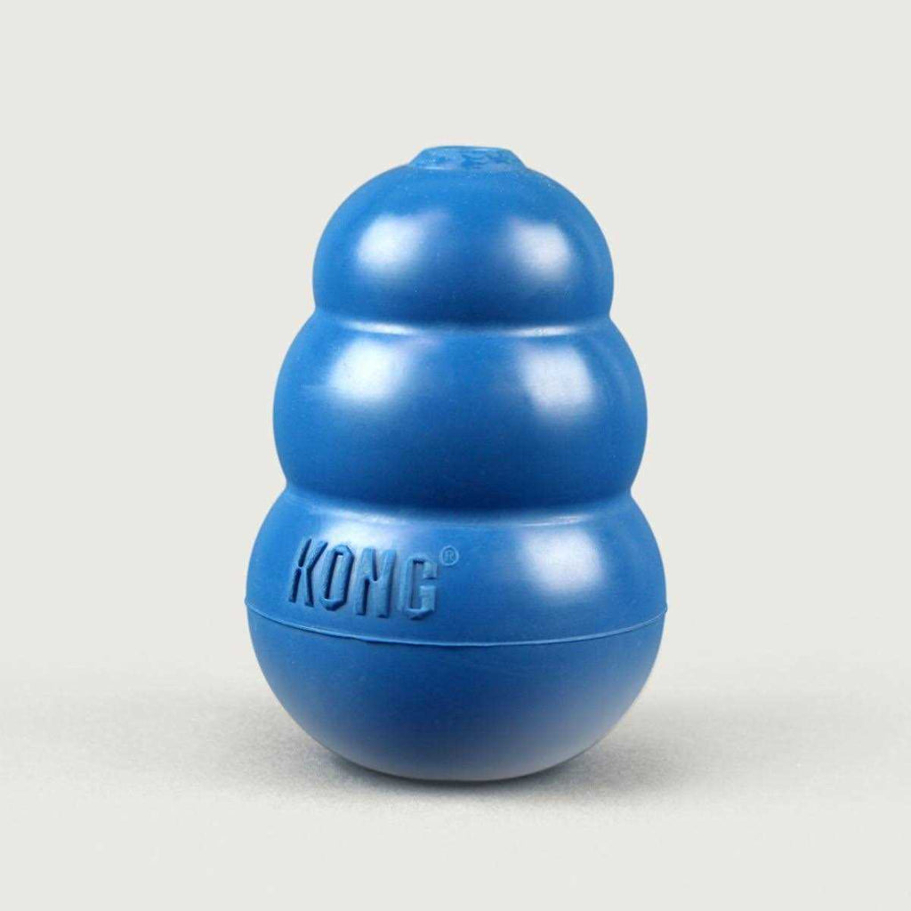 Blue Dog Toy Y9037