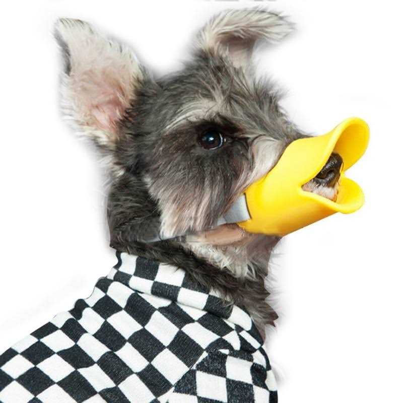 Anti Bite Dog Mouth Covers Muzzle Masks R477