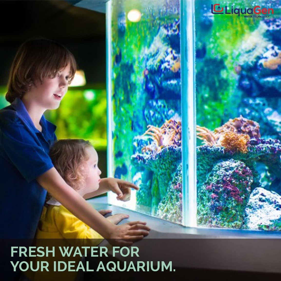 Aquarium Reef Reverse Osmosis Deionization Water Filter System with TDS Meter, Pressure Gauge and Electrical High Flow Booster Pump L1979