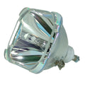 Projector Replacement Lamp with Housing D53113