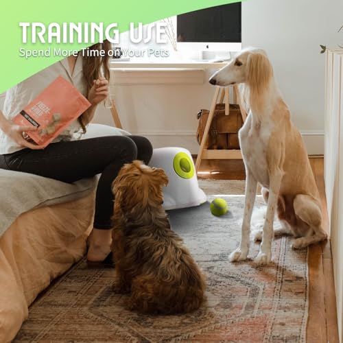 Automatic Ball Launcher for Dogs, includes 3pcs Tennis Balls Y860345