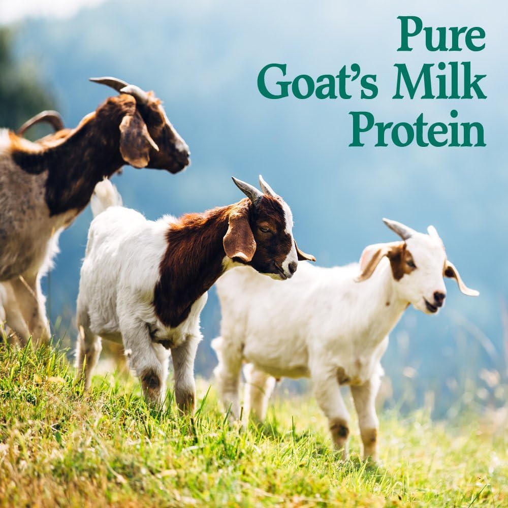 Goat Protein Powder, 22 Servings, 15.5 Ounce Pack of 2 O958
