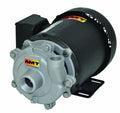 Stainless Steel Straight Centrifugal Pump, 1/3 HP, 1 Phase, 115/230V P651935
