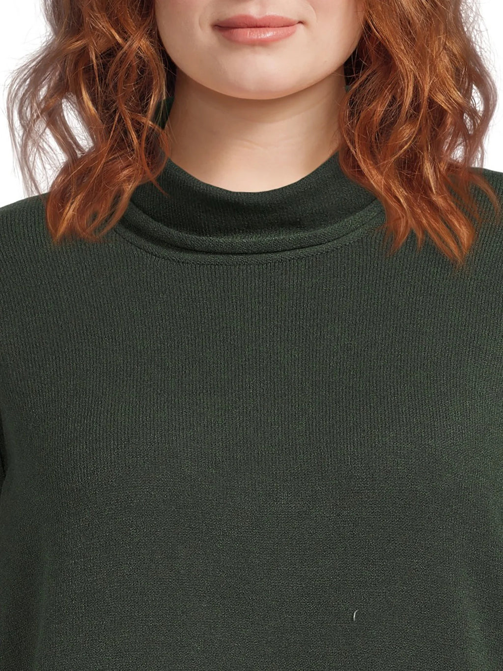 Plus Size Turtleneck Sweater Dress R19415