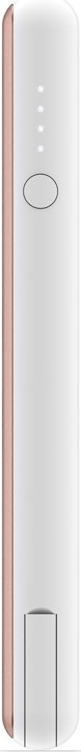 Rose Gold External Battery Pack of 2 C9726