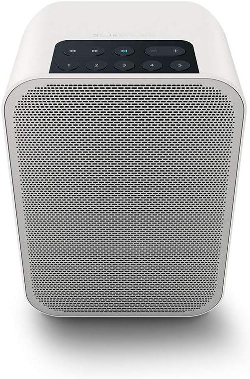 Black Portable Wireless Smart Speaker with Bluetooth V118953