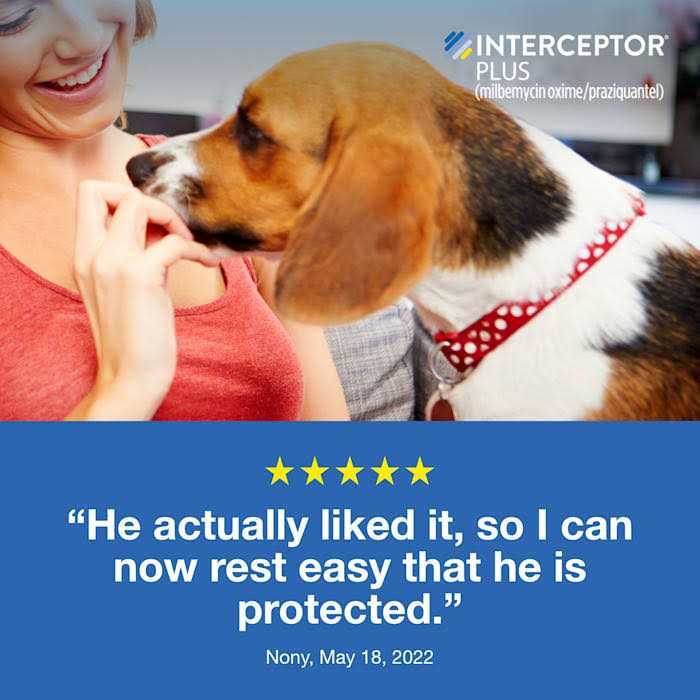Chewable for Dogs S196