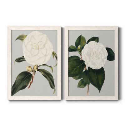 Camellia Japonica Framed Canvas H785776