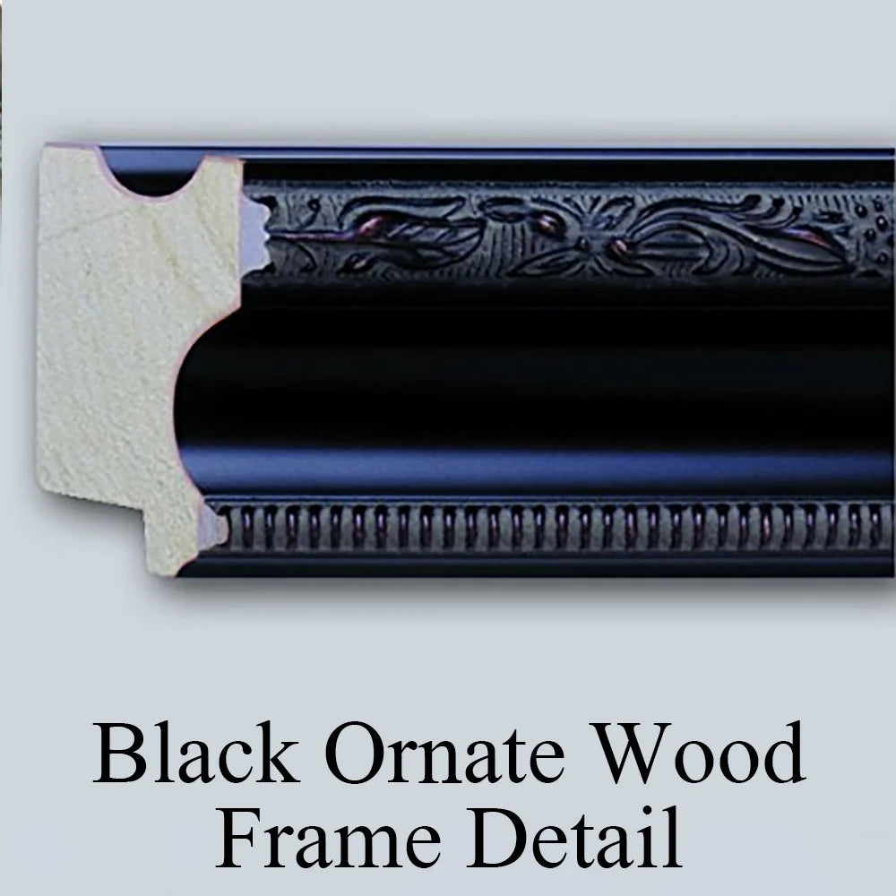 Black Ornate Wood Framed Museum Art Print U41821