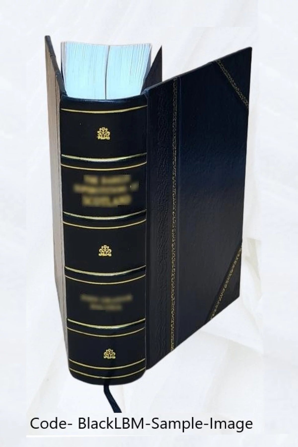 Electric Light Railway Telephone and House Supplies Catalogue Z151644