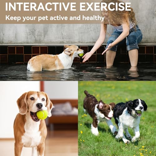 Automatic Dog Ball Thrower Launcher with 12 PCS Tennis Balls, Green M282930