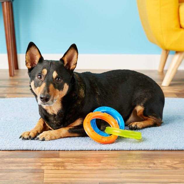 3-Ring Tug Dog Toy T7935