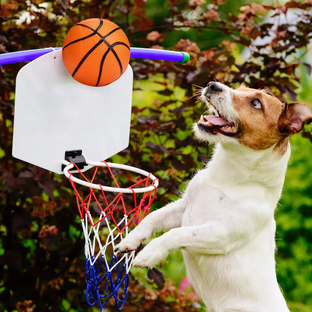 3 Packs 4.7 Inch Mini Inflatable Plastic Basketballs Toy N4520