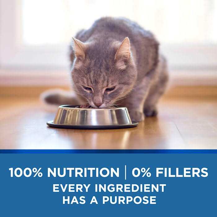 Chicken & Ocean Wet Cat Food R363