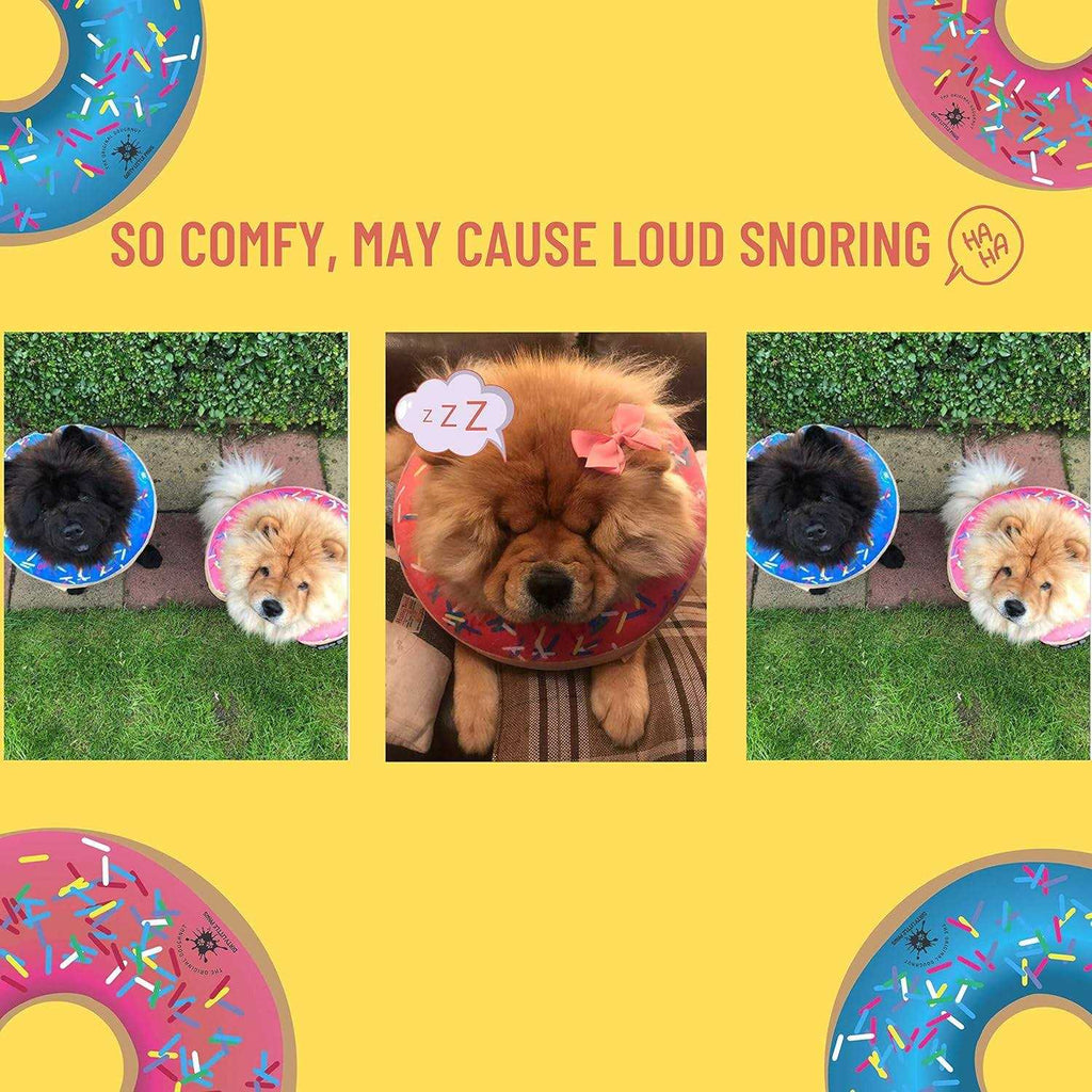 Dog Donut Collar E28601