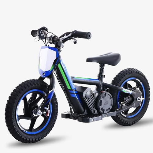 Lightweight 340W Electric Dirt Bike 24V 16-Inch Off-Road Tires P3657