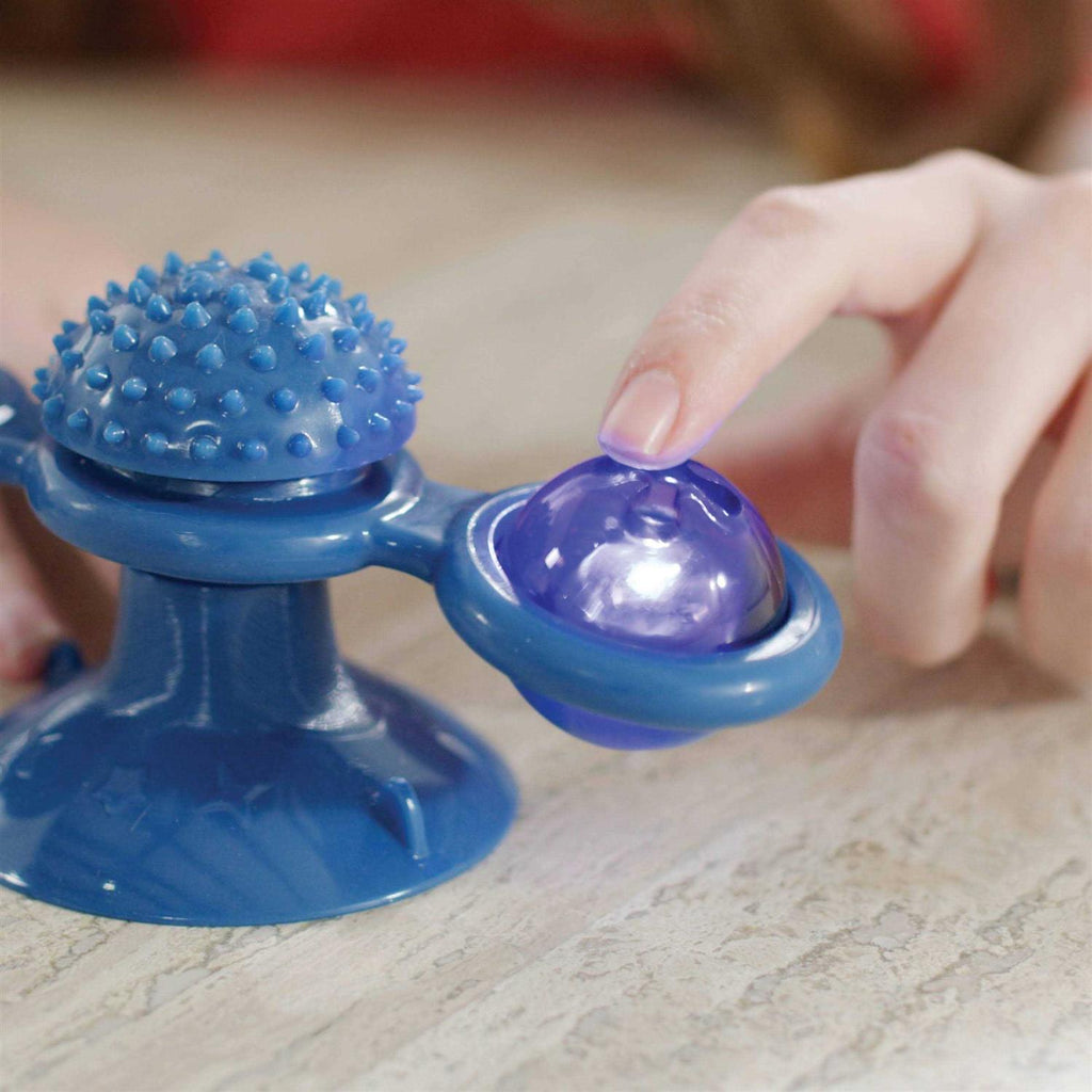 Spinner Toy & Grooming Brush V254