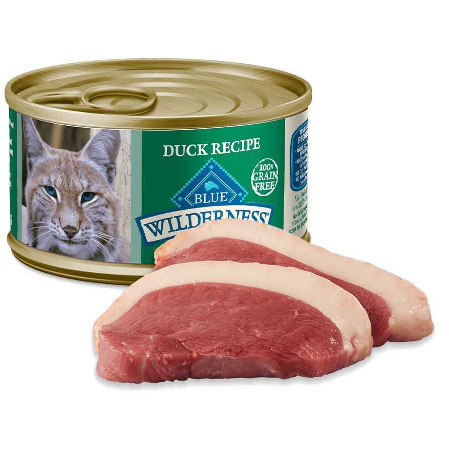 Cat Food Q60673