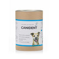 Clean Dogs Teeth O2814