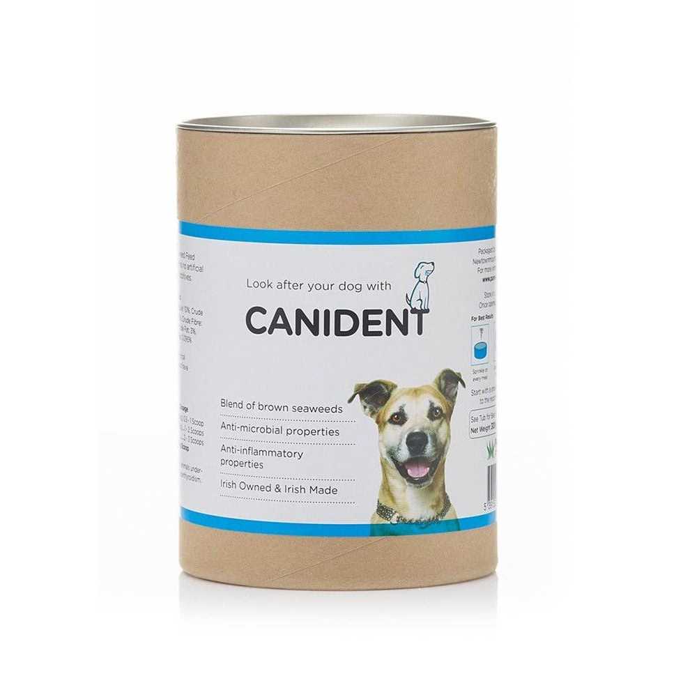 Clean Dogs Teeth O2814