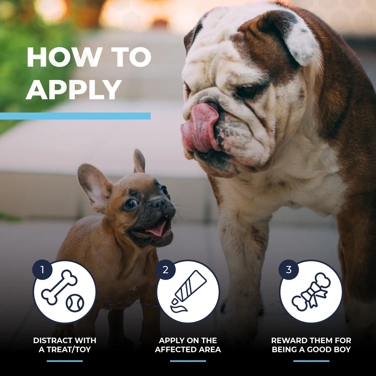 2 Oz Wrinkle Cream and 50 Wrinkle Wipes for Bulldogs V397