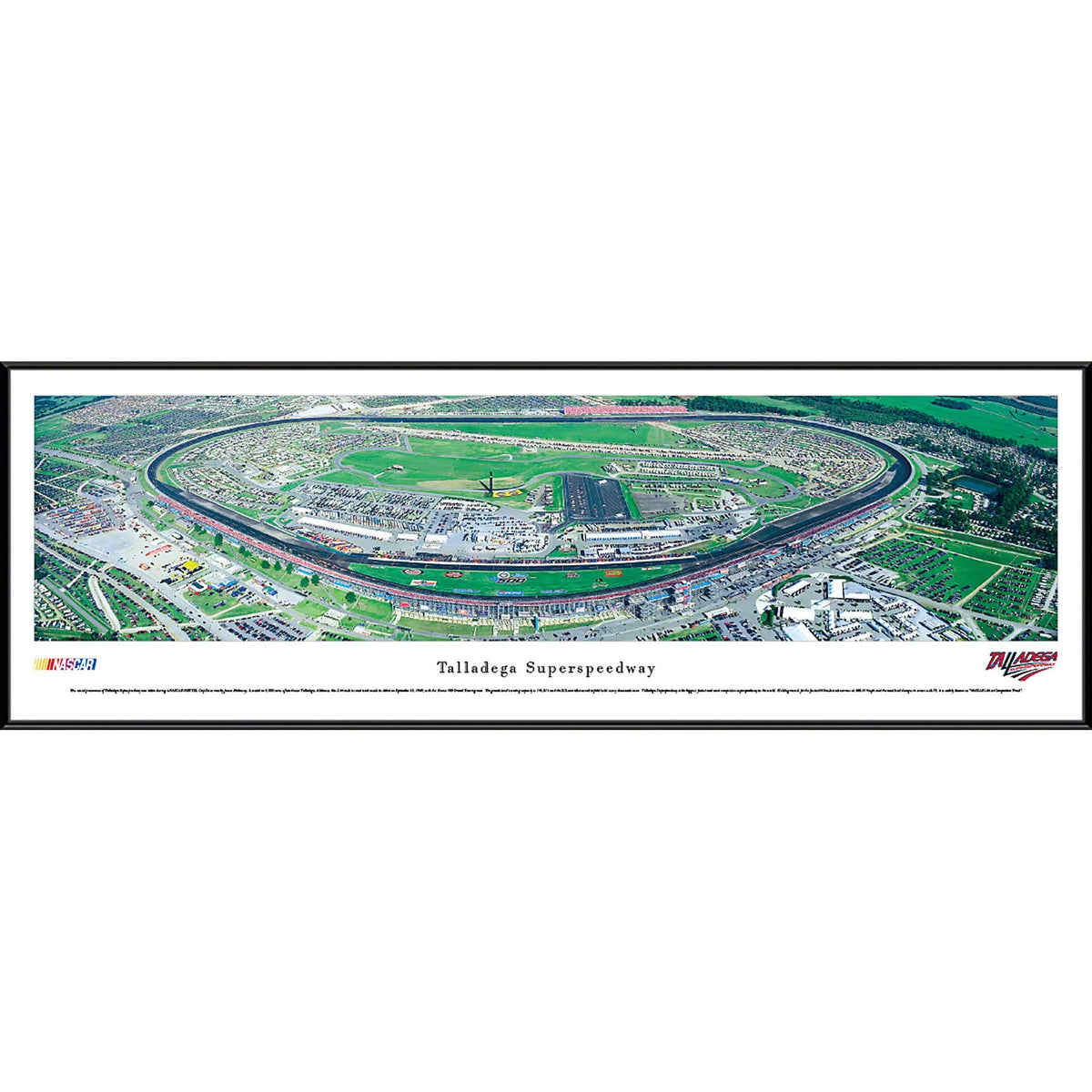 NASCAR Print M579217