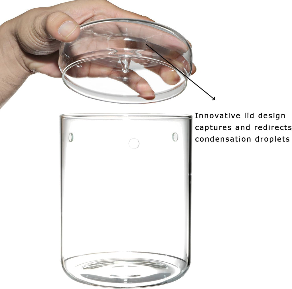Glass Plant Terrarium – 4.7 x 7 in Small Glass Planter with Lid G8801