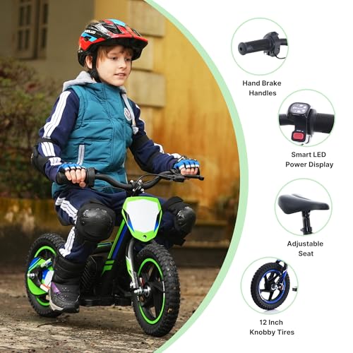 Lightweight 340W Electric Dirt Bike 24V 16-Inch Off-Road Tires P3657