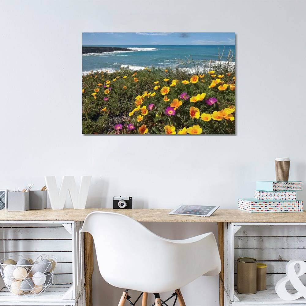 California Poppy and Iceplant Print on Canvas Art M802973
