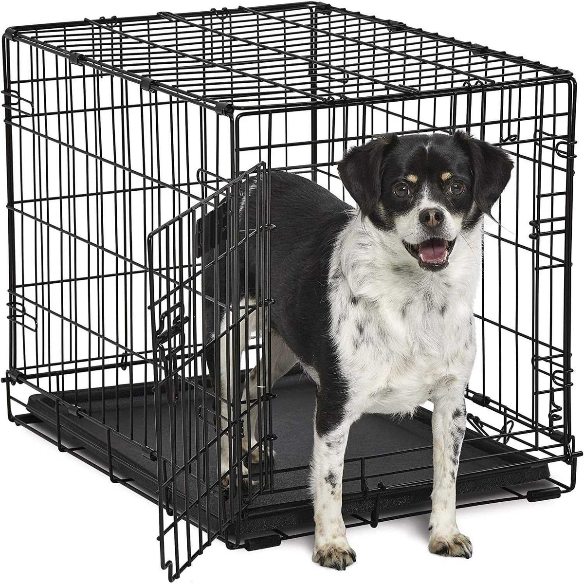 Single-Door Dog Crate C273