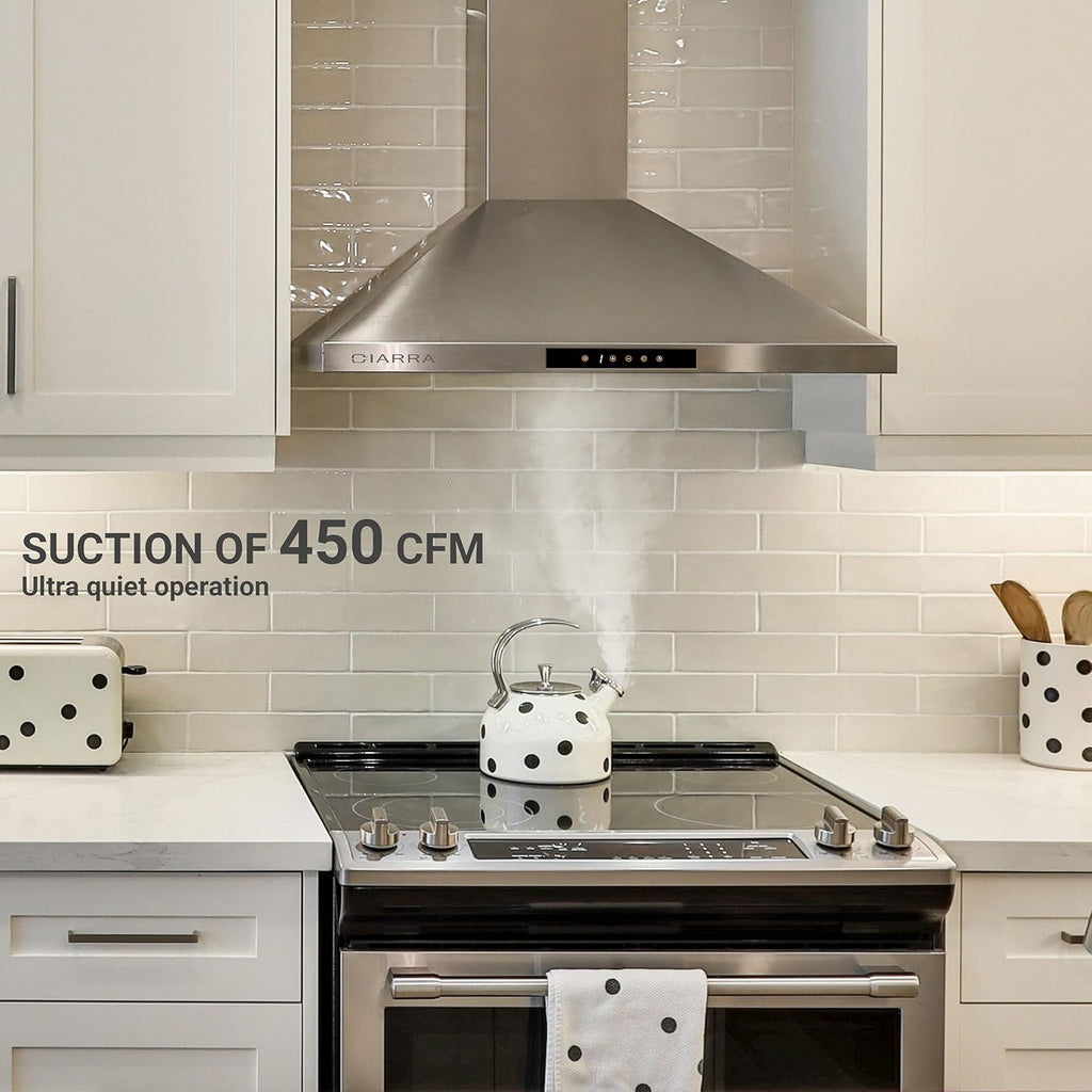 30 inch 450 CFM Convertible Wall Mount Stainless Steel Range Hood H226