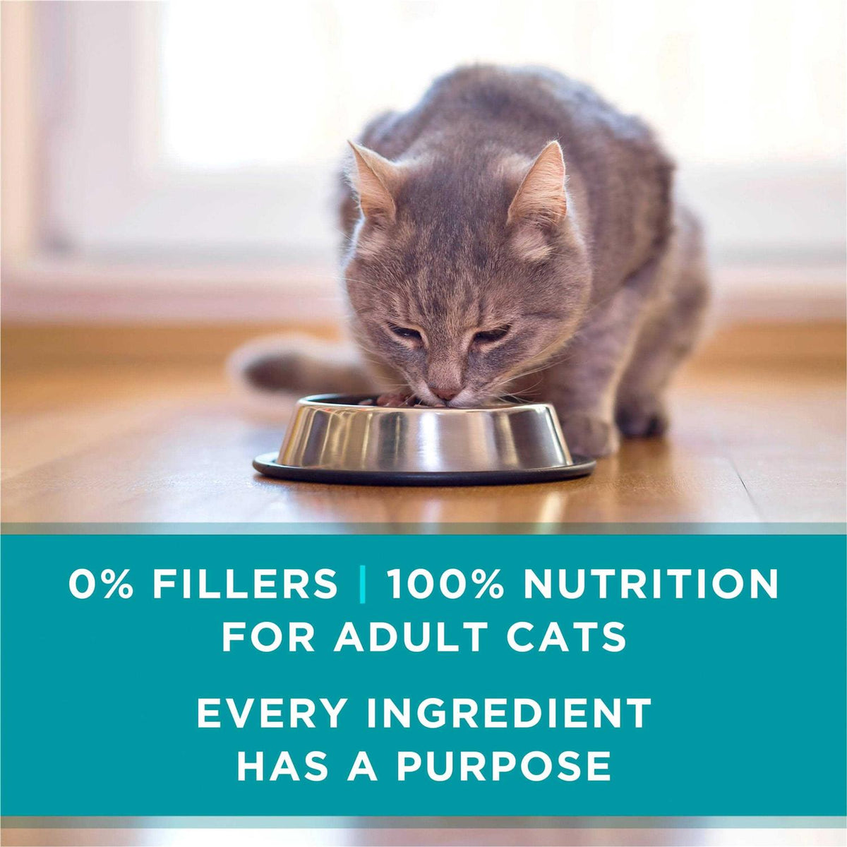 Natural Pate Wet Cat Food E6233