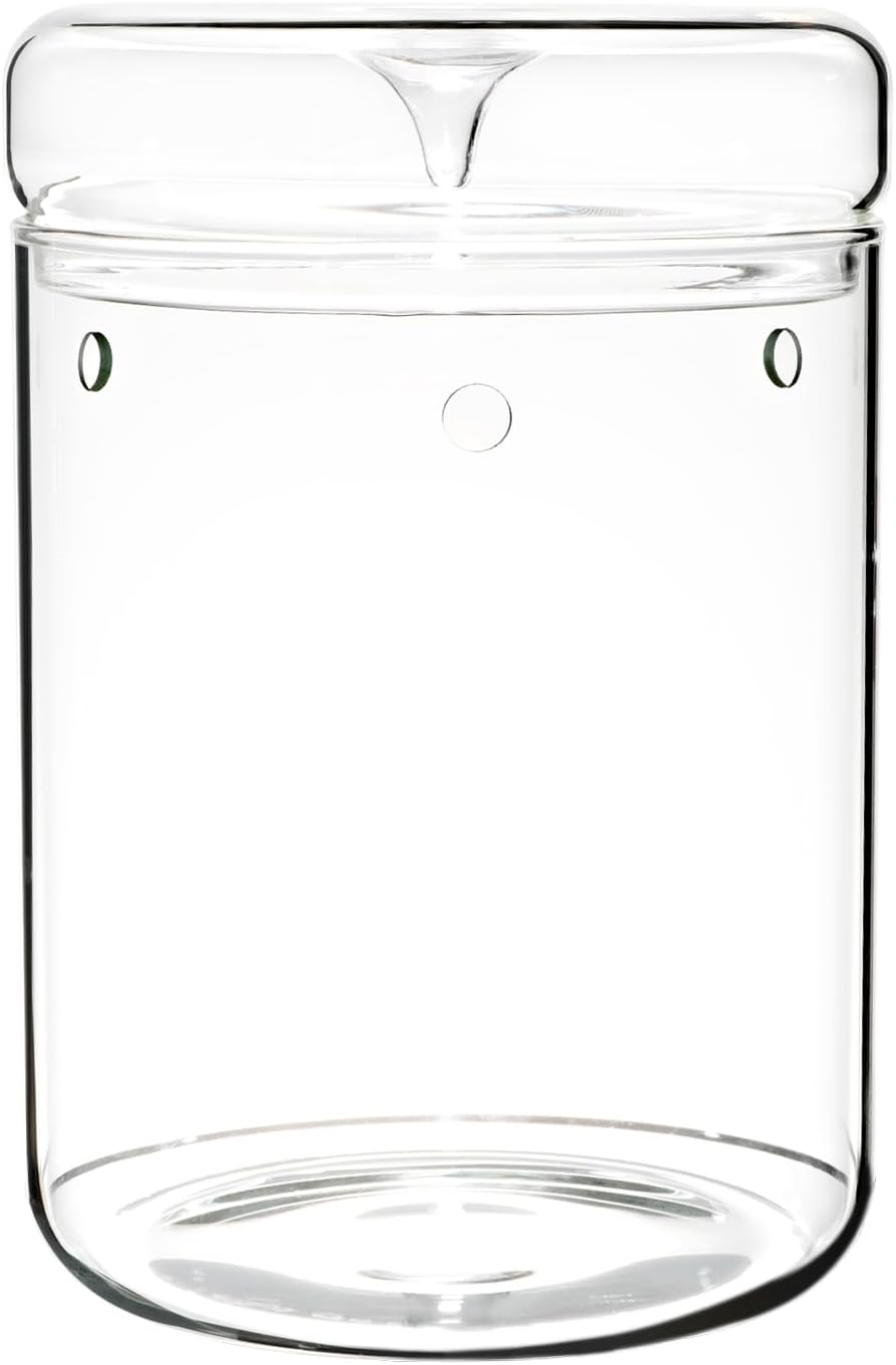 Glass Plant Terrarium – 4.7 x 7 in Small Glass Planter with Lid G8801