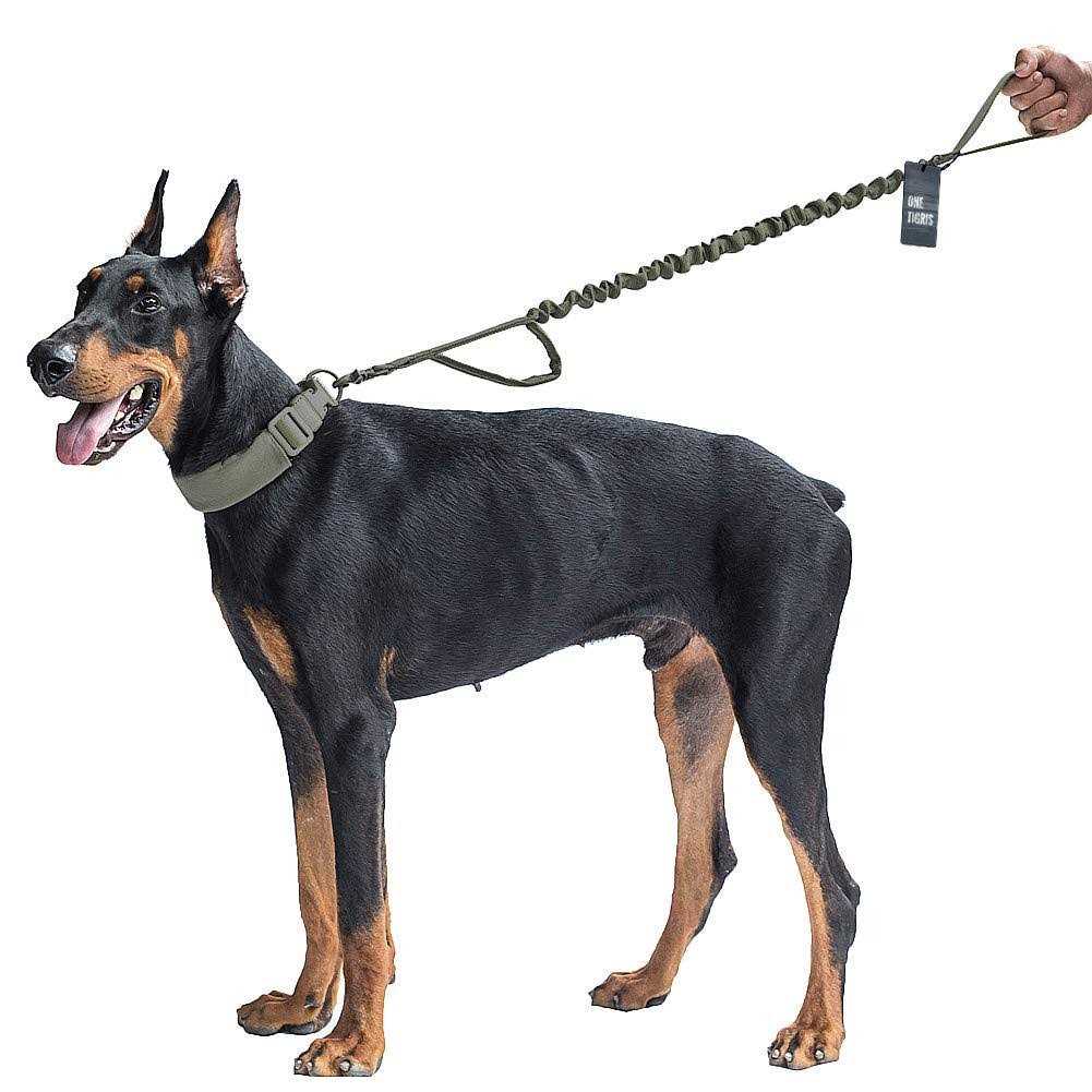 Tactical Dog Training Bungee Leash with 2 Control Handle Nylon Leads Rope S655