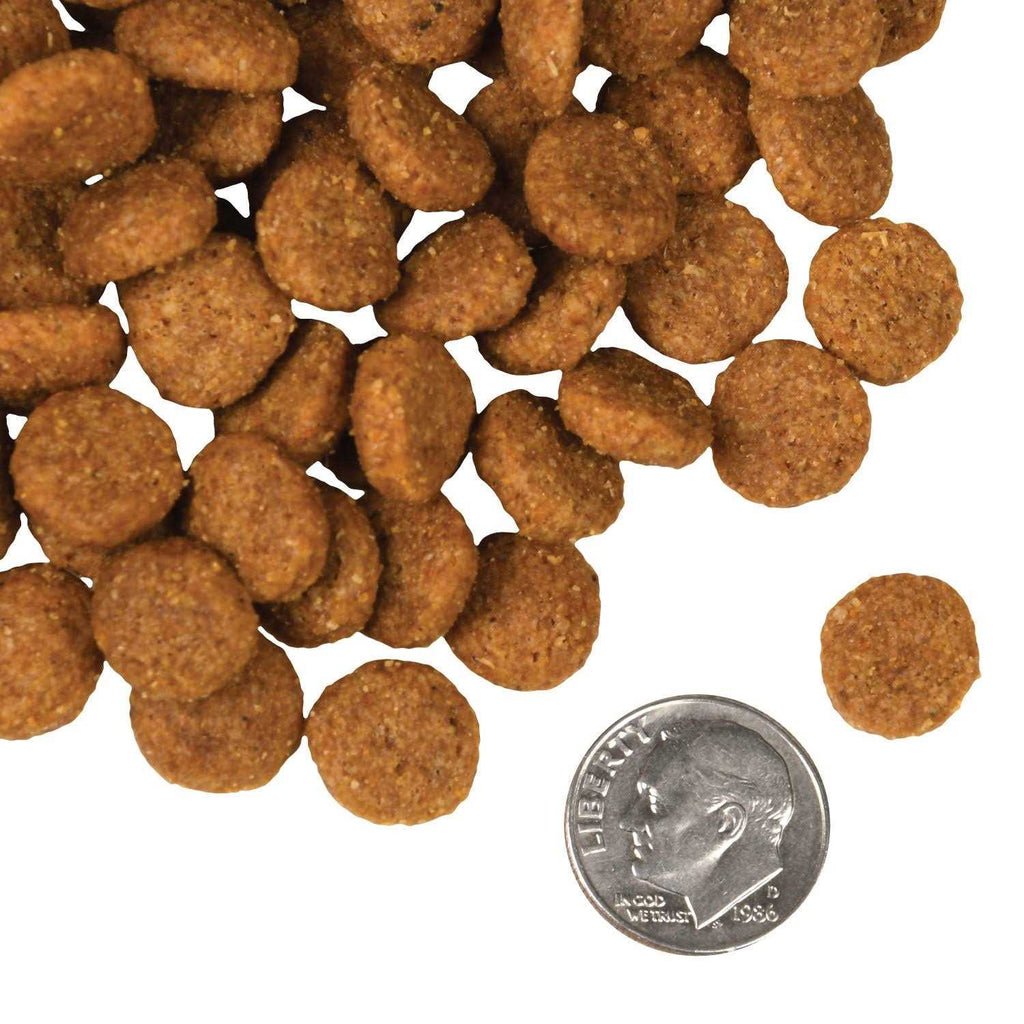 Salmon Dog Food N253610