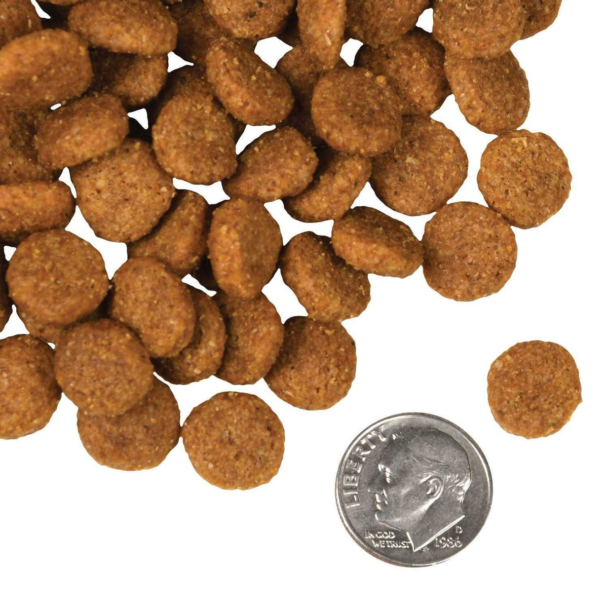 Salmon Dog Food N253610