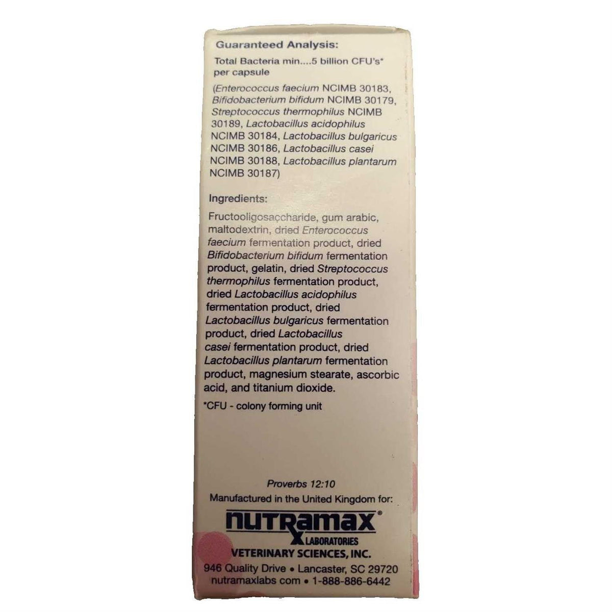 Cat Digestive Supplement Capsules B250333