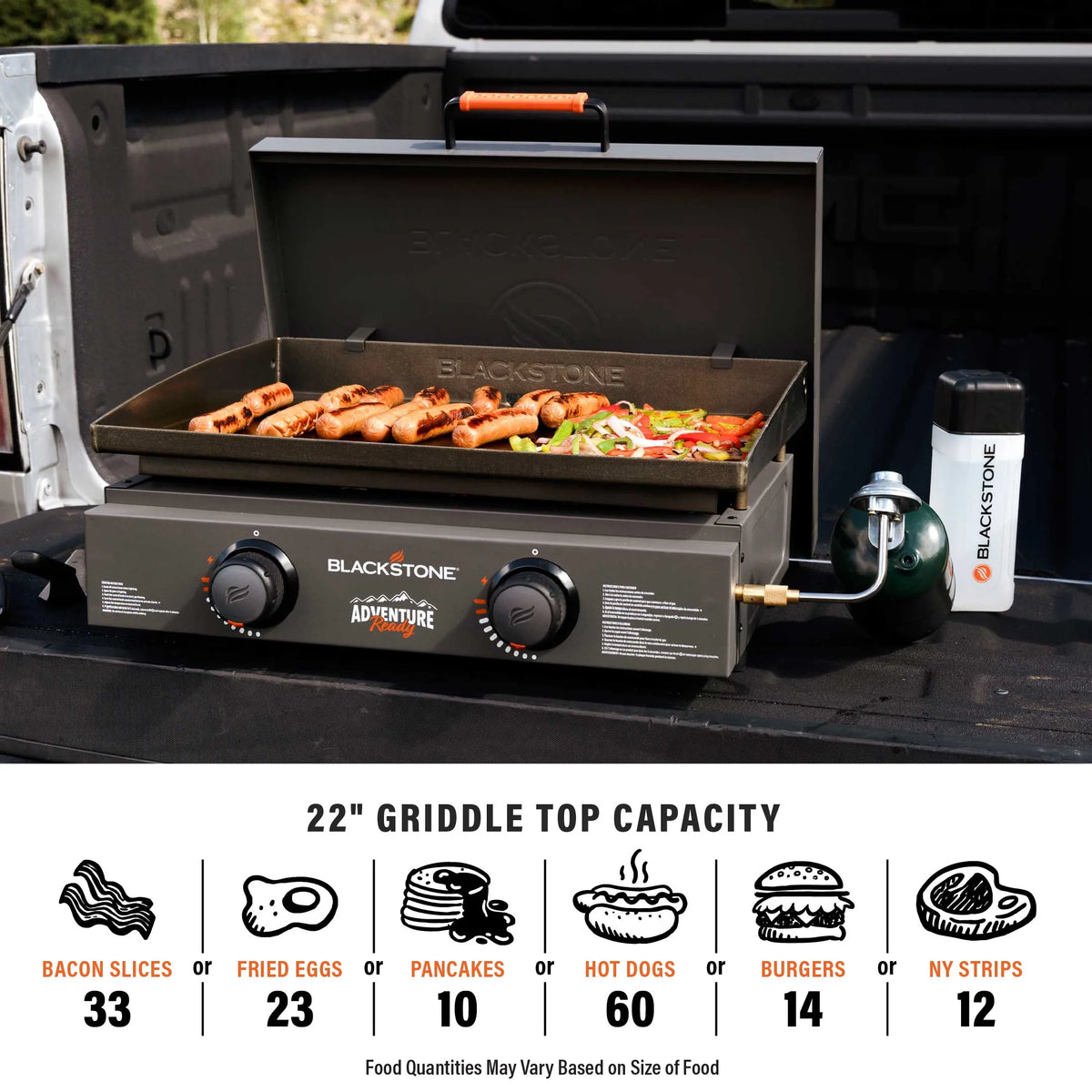 2-Burner Propane Griddle with Hard Cover Q5707