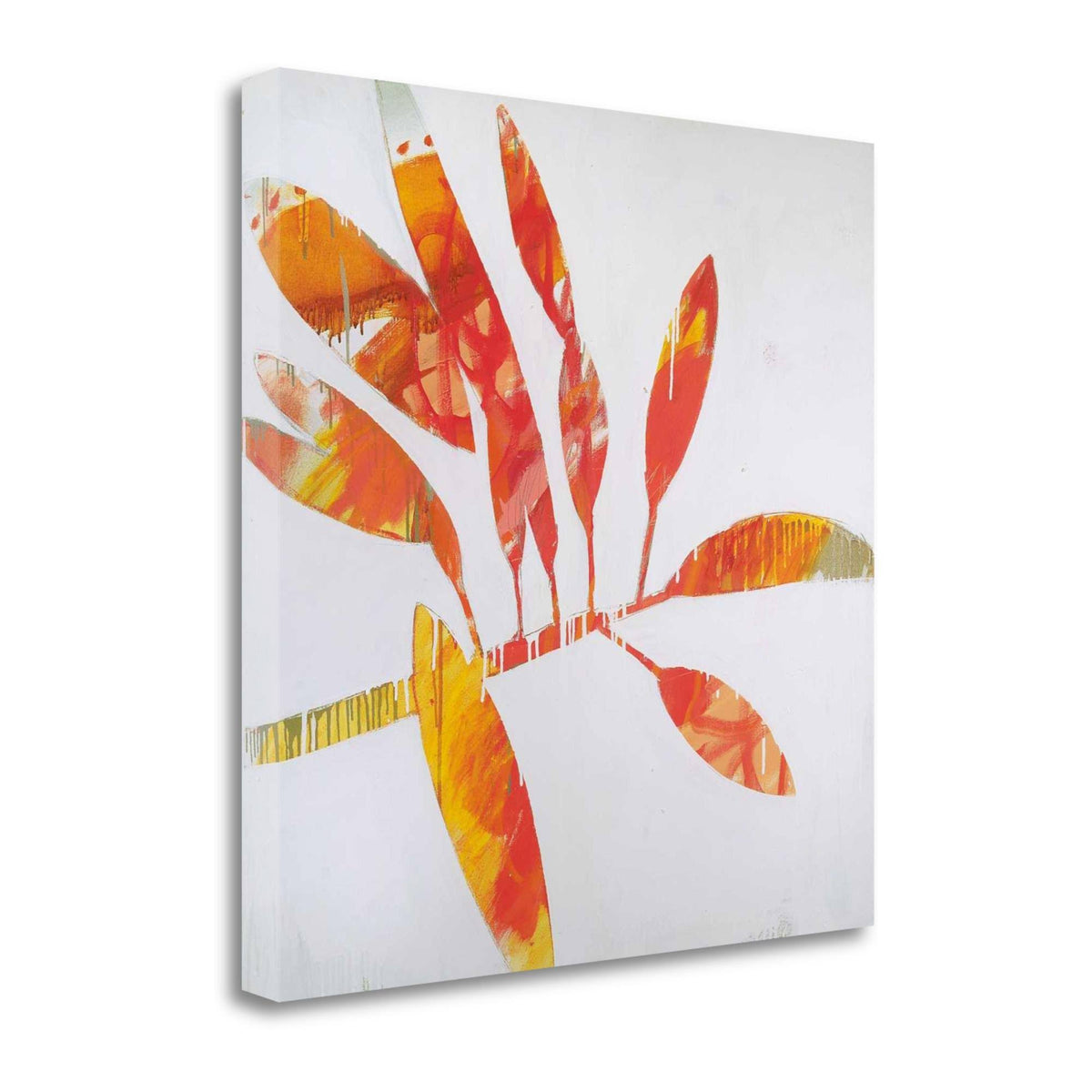 Fine Art Giclee Print F992939