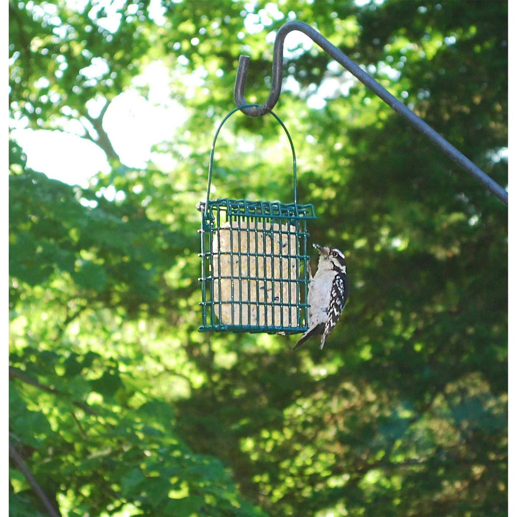 High Energy Suet Cake 10 Pack H806039