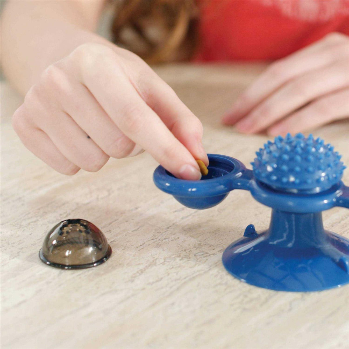 Spinner Toy & Grooming Brush V254