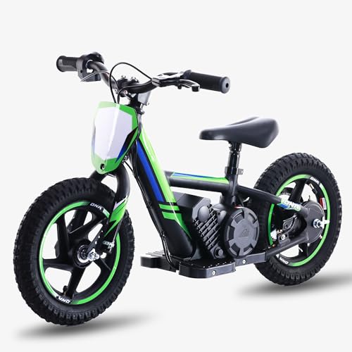 Lightweight 340W Electric Dirt Bike 24V 16-Inch Off-Road Tires P3657