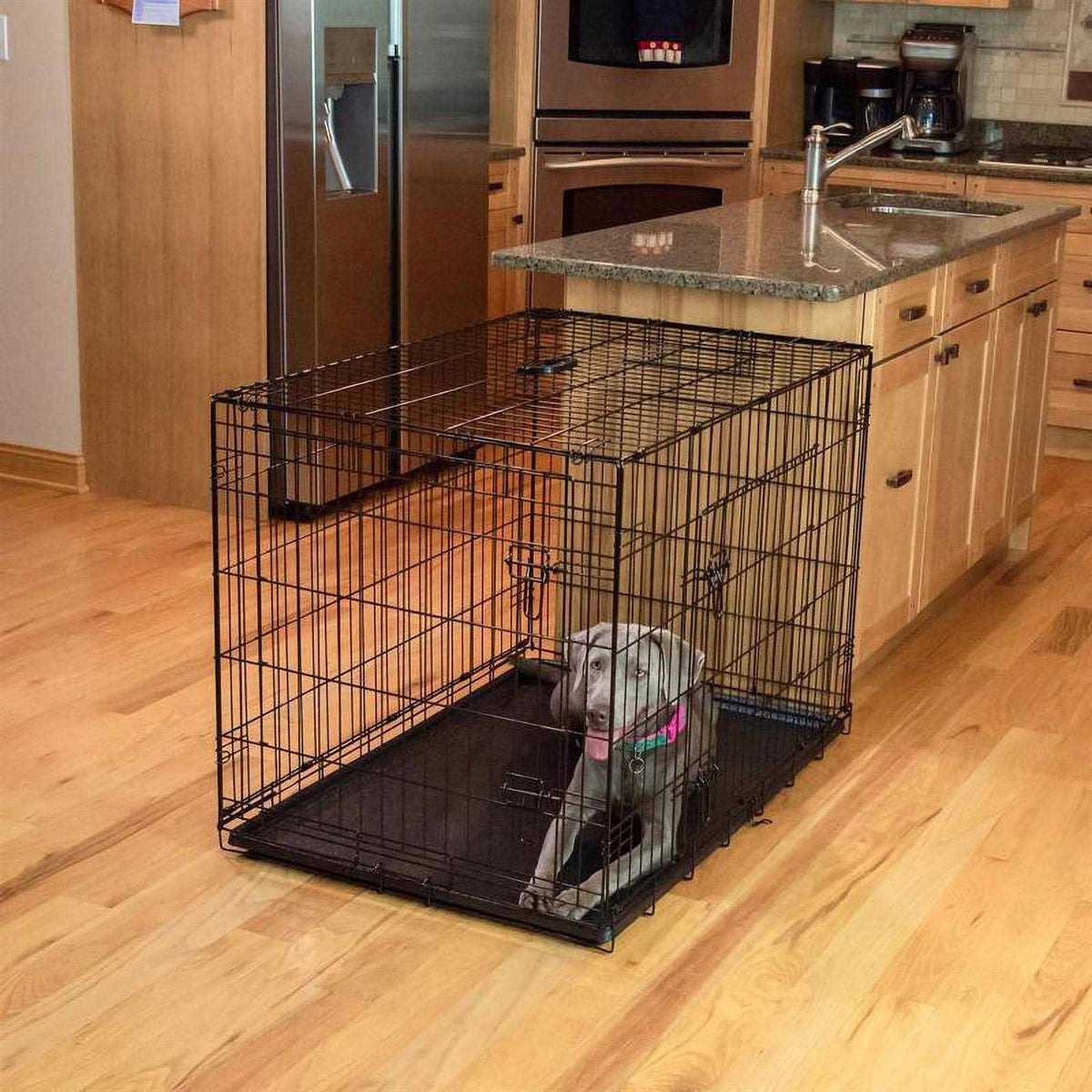 Single-Door Dog Crate C273