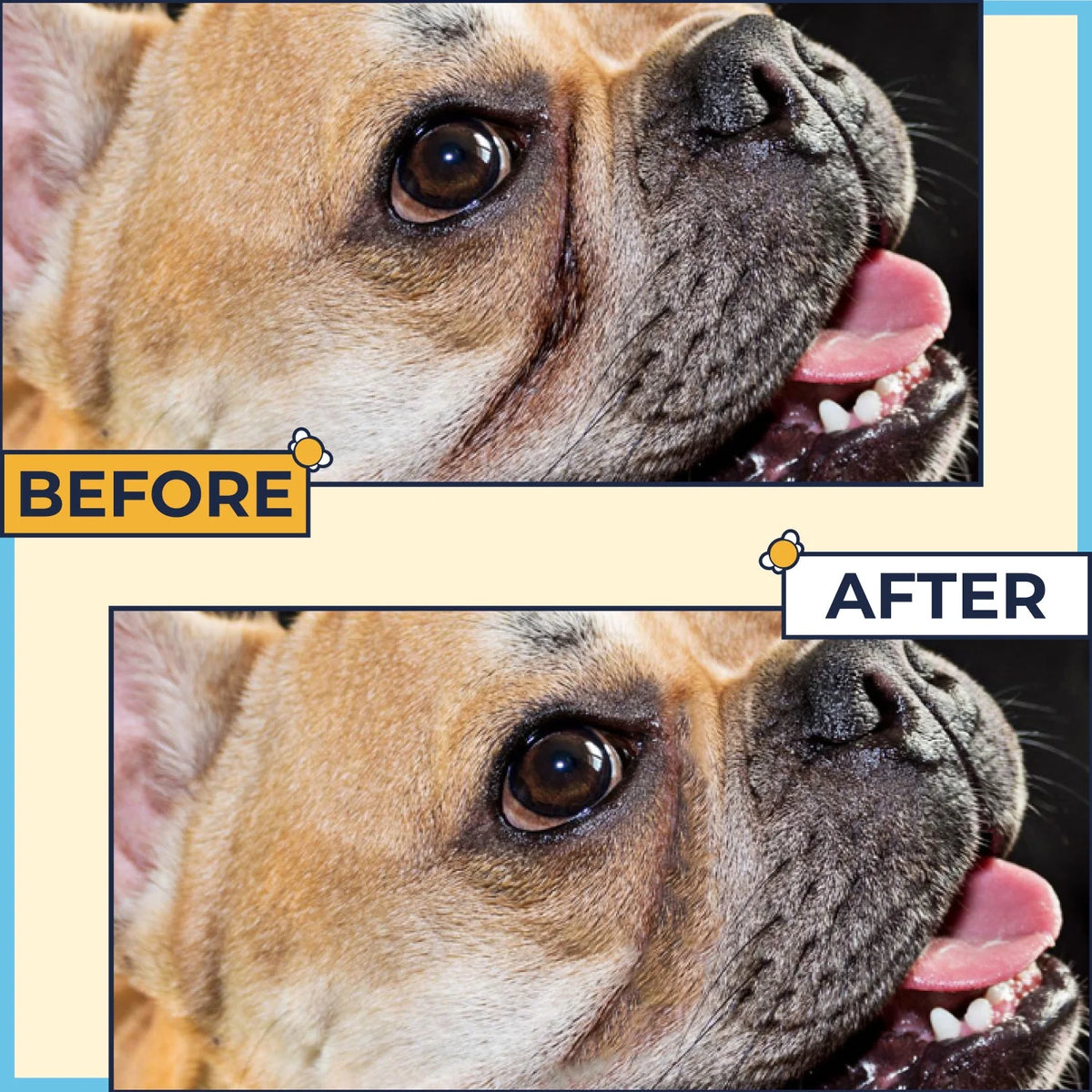 2 Oz Wrinkle Cream and 50 Wrinkle Wipes for Bulldogs V397