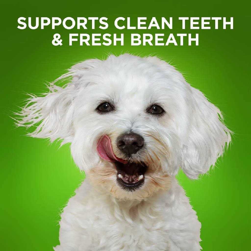 Bioactive Fresh Mouth Dental Chews U6448