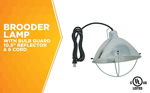 10.5 Inch Reflector Brooder Lamp with Bulb Guard and 6 Foot Cord R845