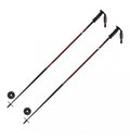 Ski Stick Carbon Safety Z813