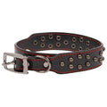 Studded Leather Dog Collar X9552
